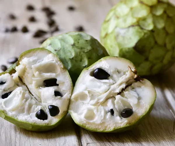 Cherimoya 10 Stück