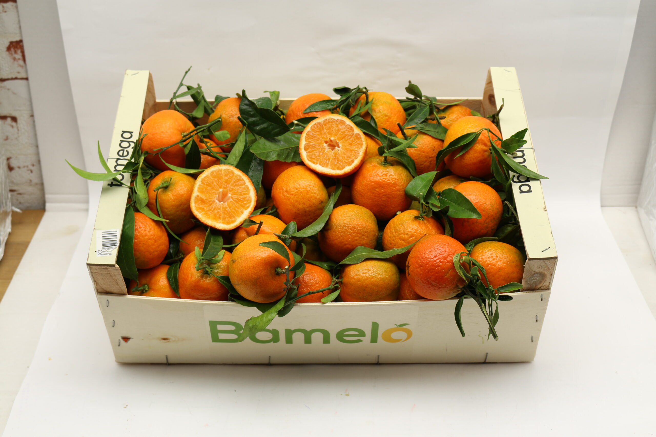 IMG_9508 Clementinen Kiste – Bild 1