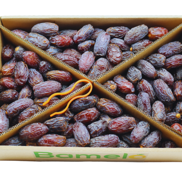 Jumbo Medjoul Datteln