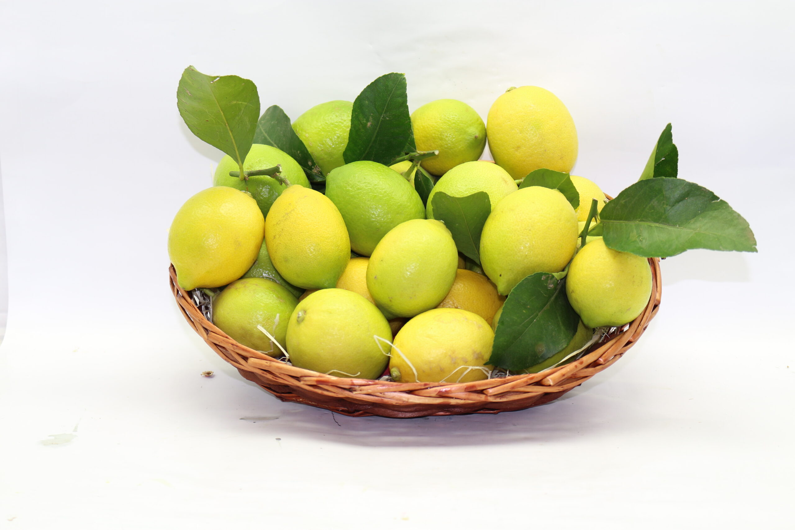Zitrone_1 Zitronen Kiste – Bild 1