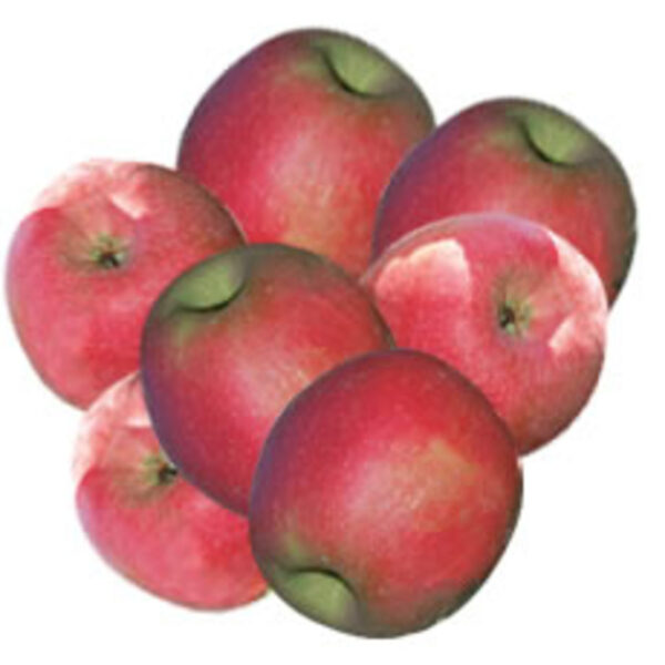 Pinklady Äpfel