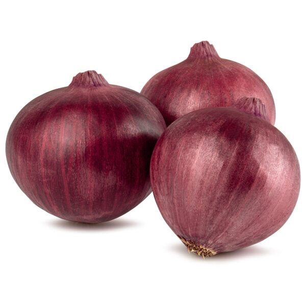 Zwiebeln Rot