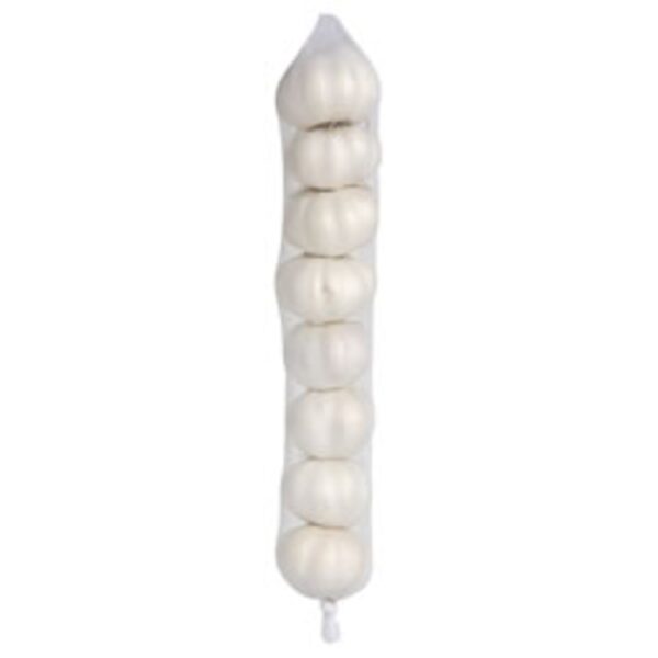 Knoblauch 40x 250g