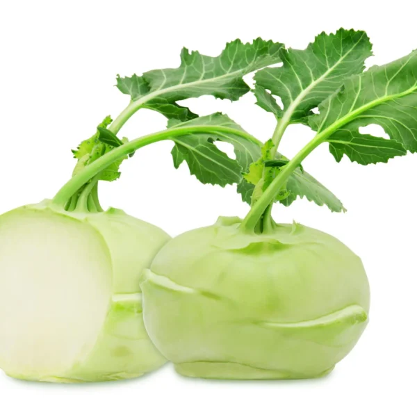 Kohlrabi 20er