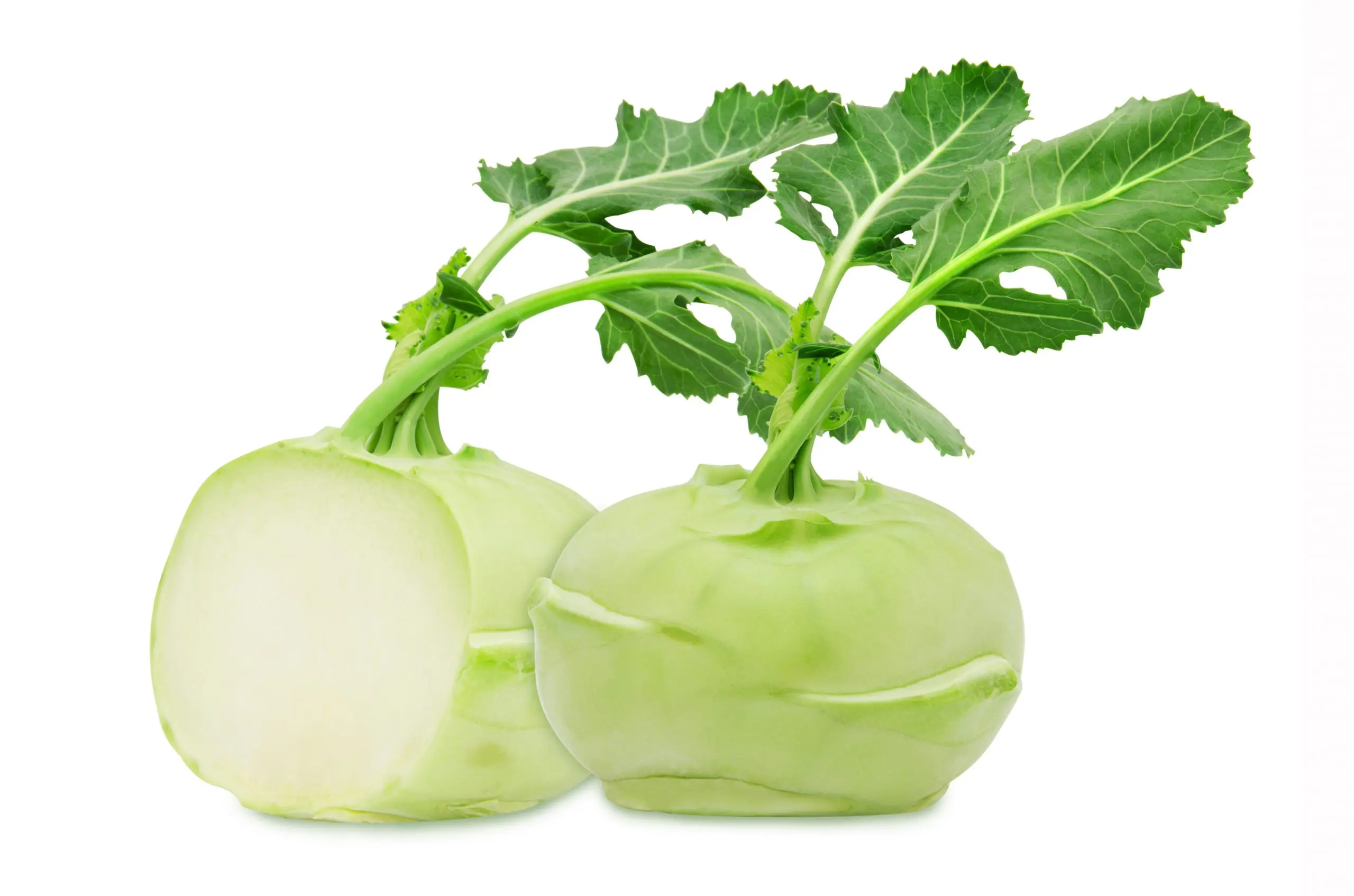 kohlrabi-scaled Kohlrabi 20er – Bild 1